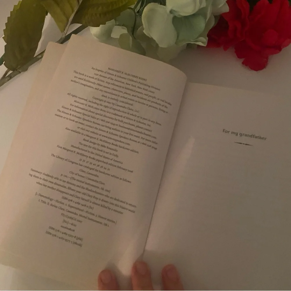 The Mortal Instruments Book Paperback - Picture 3 of 6